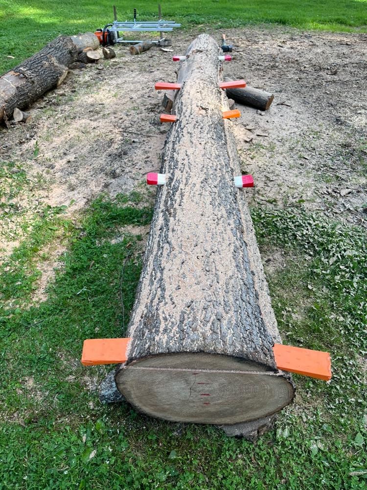 Carmyra mounted on different chainsaw models, shows broad compatibility and portability