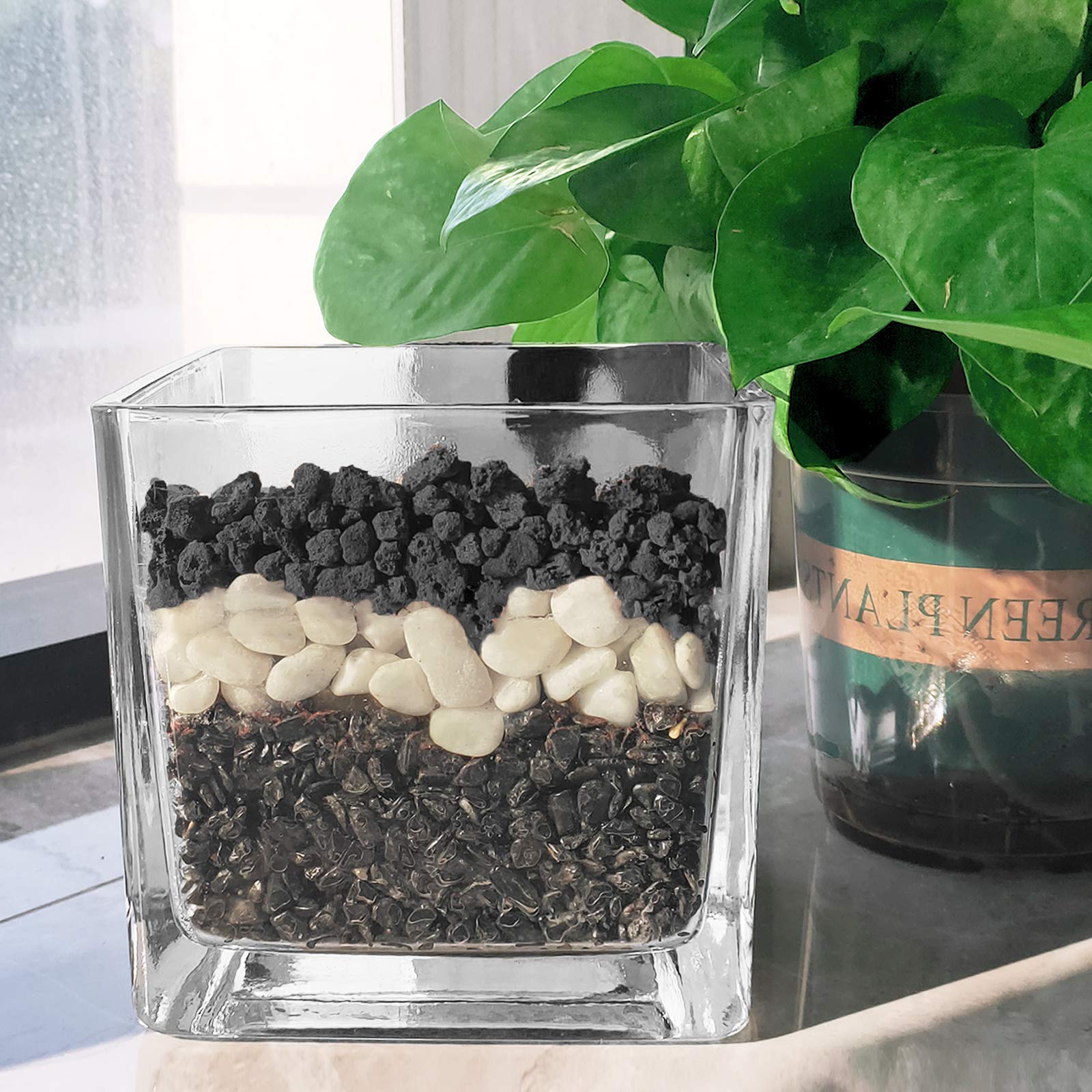 CARURBODY resealable bag opened to show easy portioning and storage