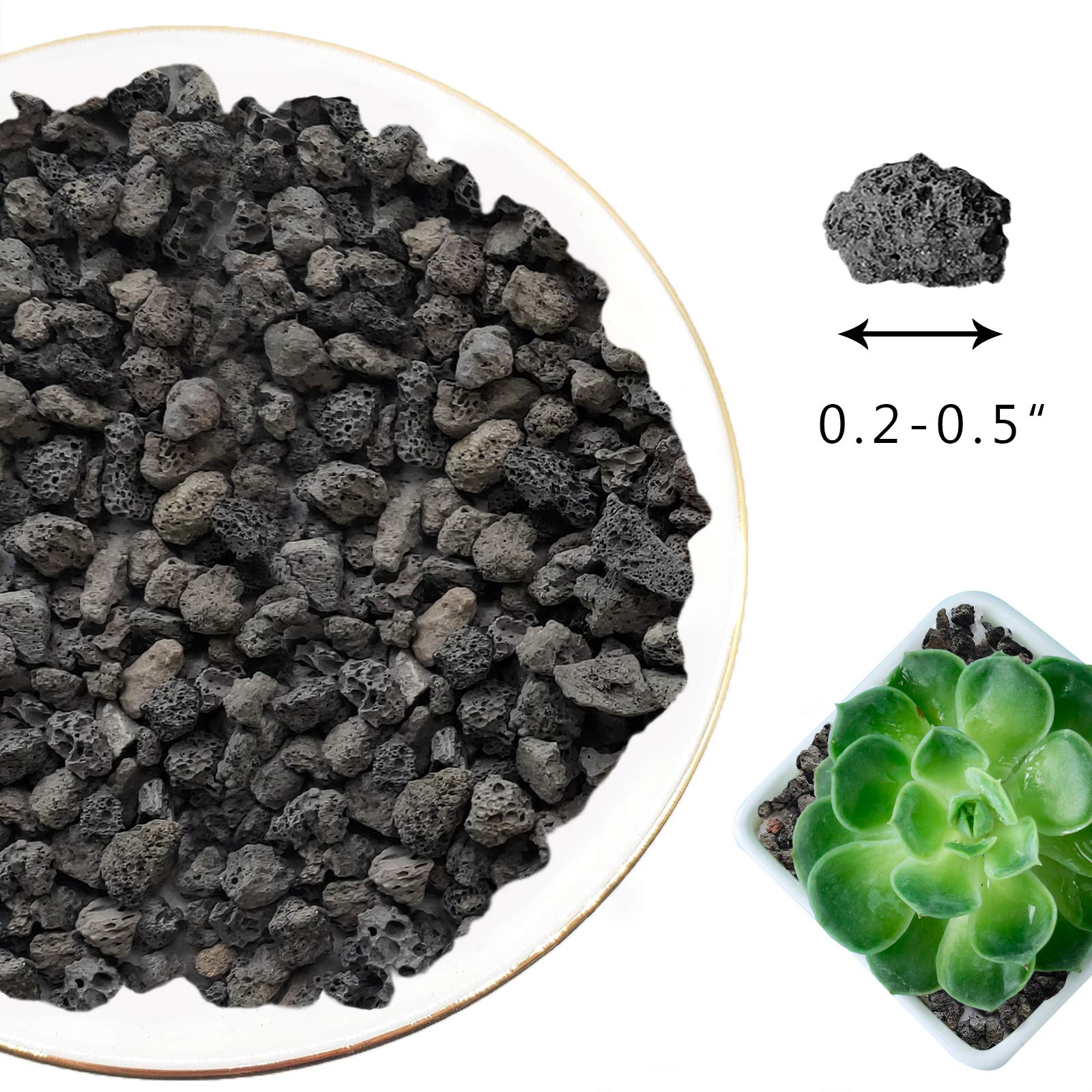 CARURBODY lava rocks next to a coin showing 8–14 mm size for scale