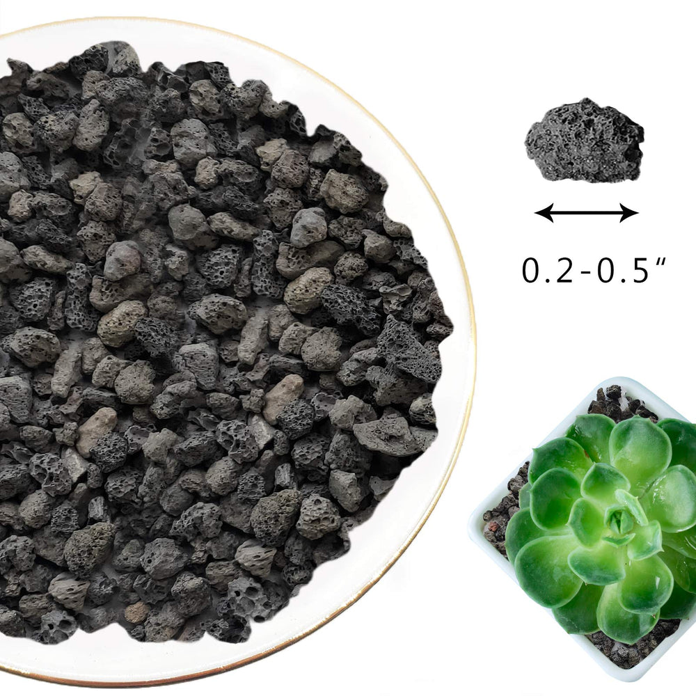 CARURBODY lava rocks next to a coin showing 8–14 mm size for scale