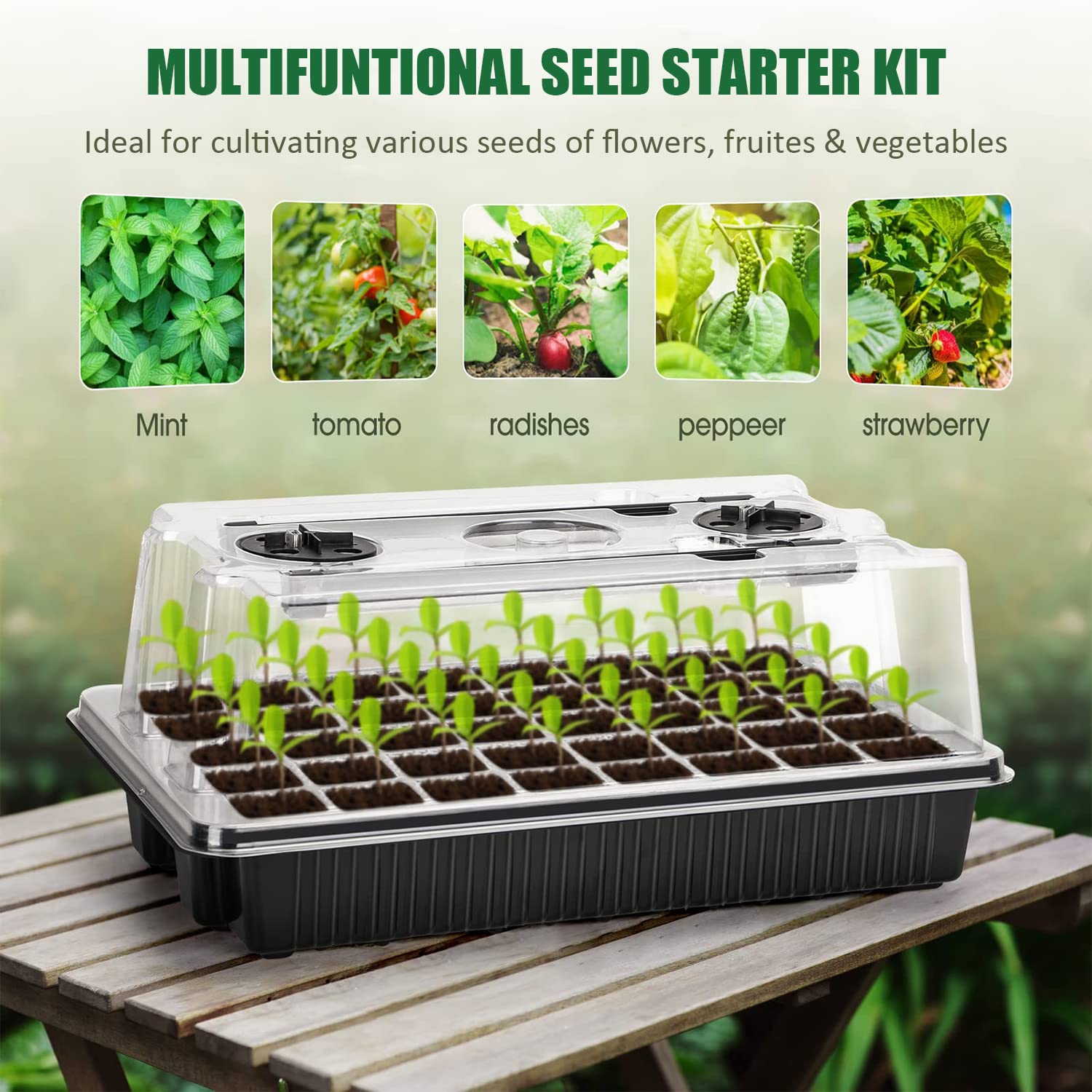 Carzos lifestyle windowsill setup showing compact kit saving space while starting seeds