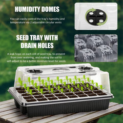 Carzos seedlings in tray in active growth illustrating even coverage and healthy starts