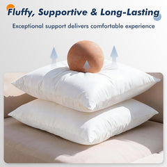 CASAJOY side profile demonstrating insert thickness and supportive lumbar benefit