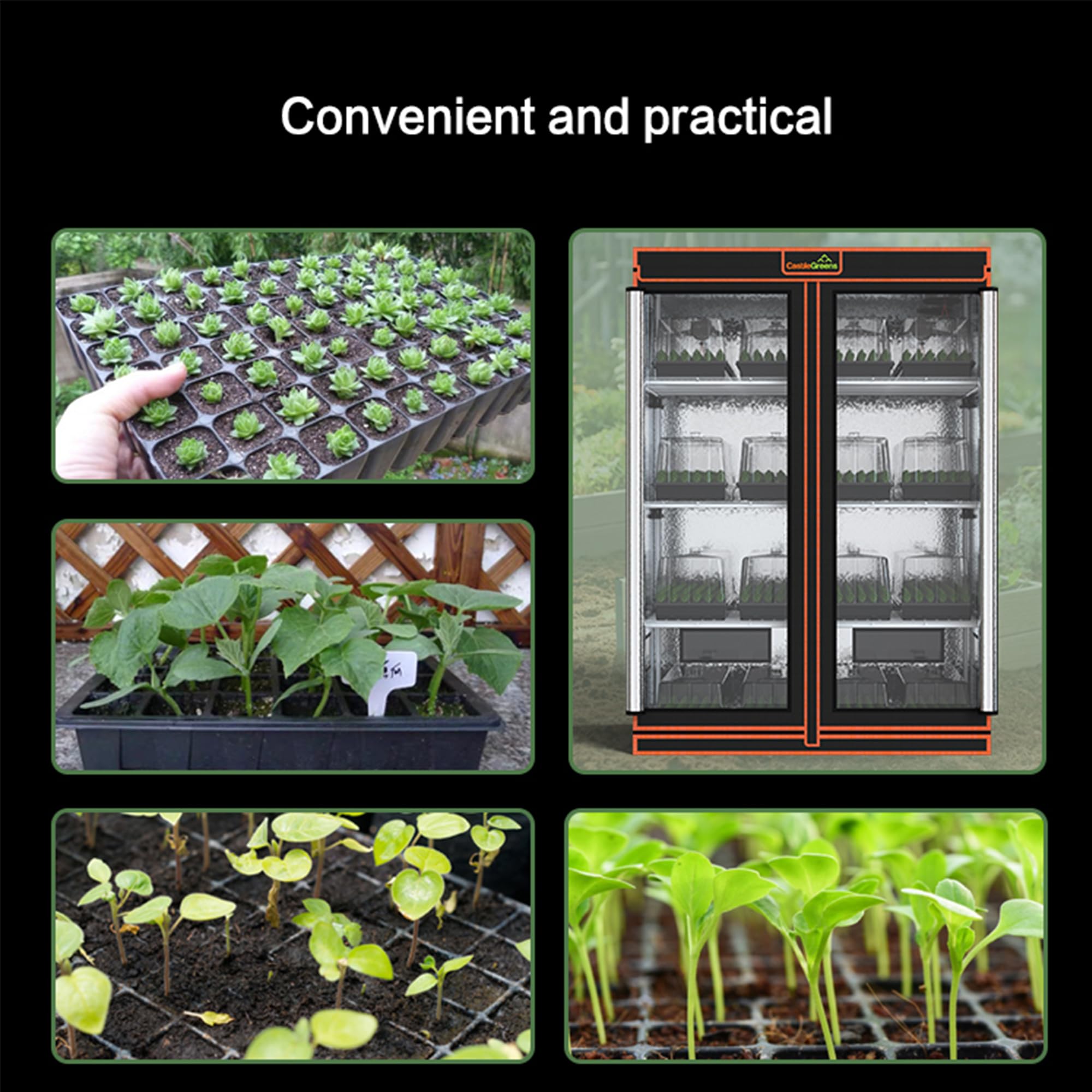 CastleGreens tent beside pots to show footprint and space-saving benefit