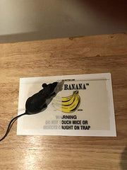Catchmaster 72TB board placed behind fridge showing discreet placement and effective trapping
