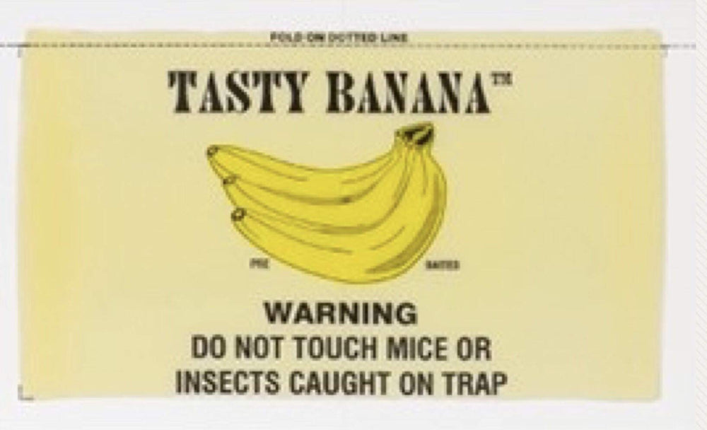 Catchmaster 72TB front packaging showing 72 banana-scented glue boards and benefits