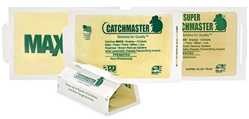 Catchmaster board placed along baseboard demonstrating discreet, effective placement
