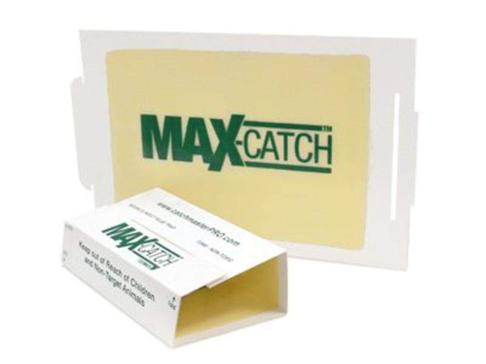 Catchmaster front packaging showing 72-pack and peanut butter scent benefit