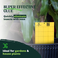 Catchmaster GRO hanging in greenhouse canopy for continuous pest monitoring