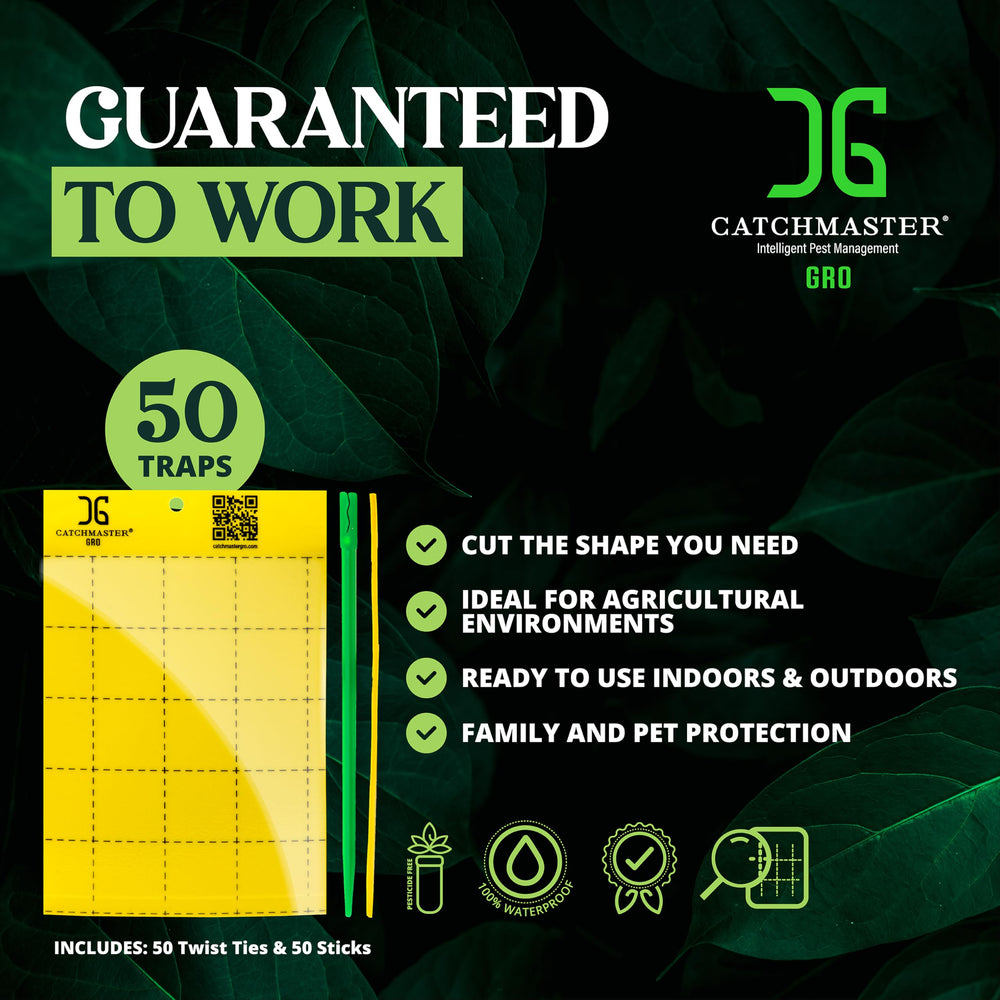 Catchmaster GRO staked beside potted plant protecting roots and seedlings