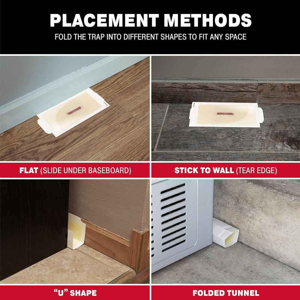 Catchmaster glue board set in basement illustrating discreet pest control