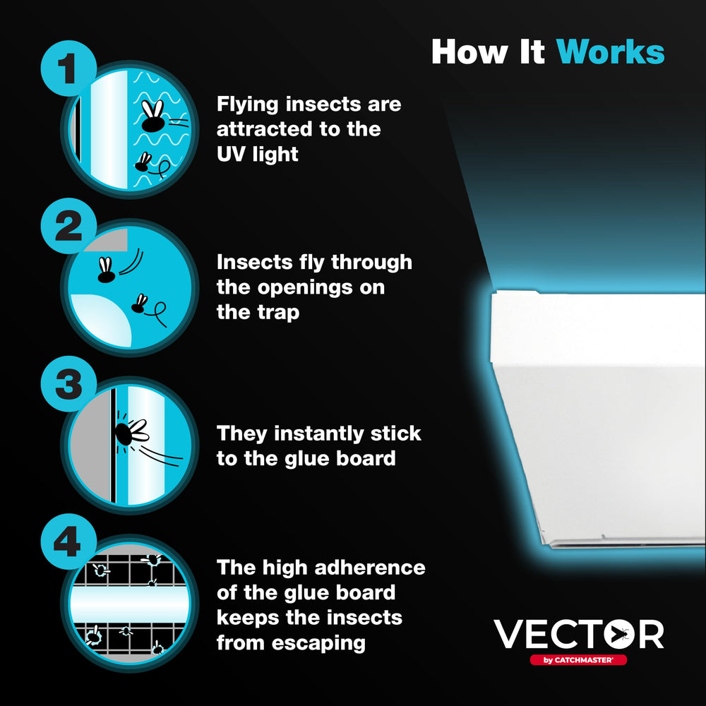 Catchmaster mounted in restaurant dining area benefit: quiet, out-of-sight insect control