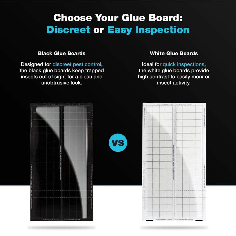 Catchmaster glue board beside ruler to show size and fit accuracy