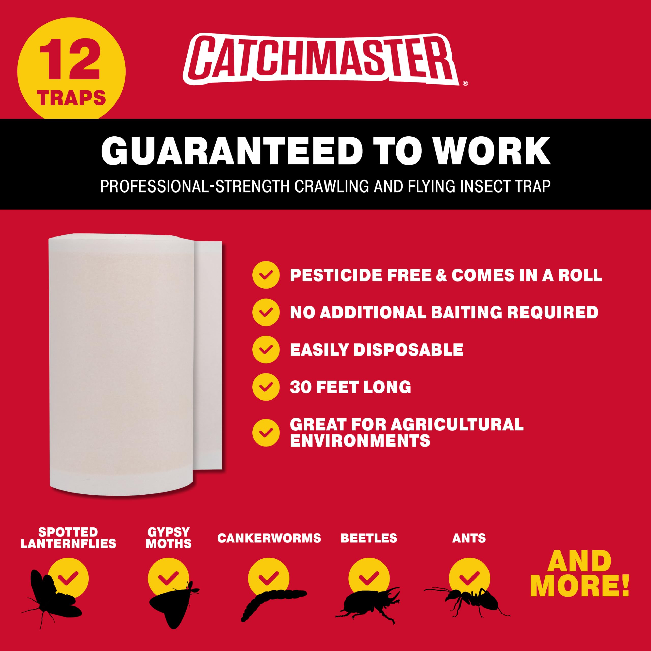 Catchmaster adhesive band with captured insects visible to aid monitoring and identification