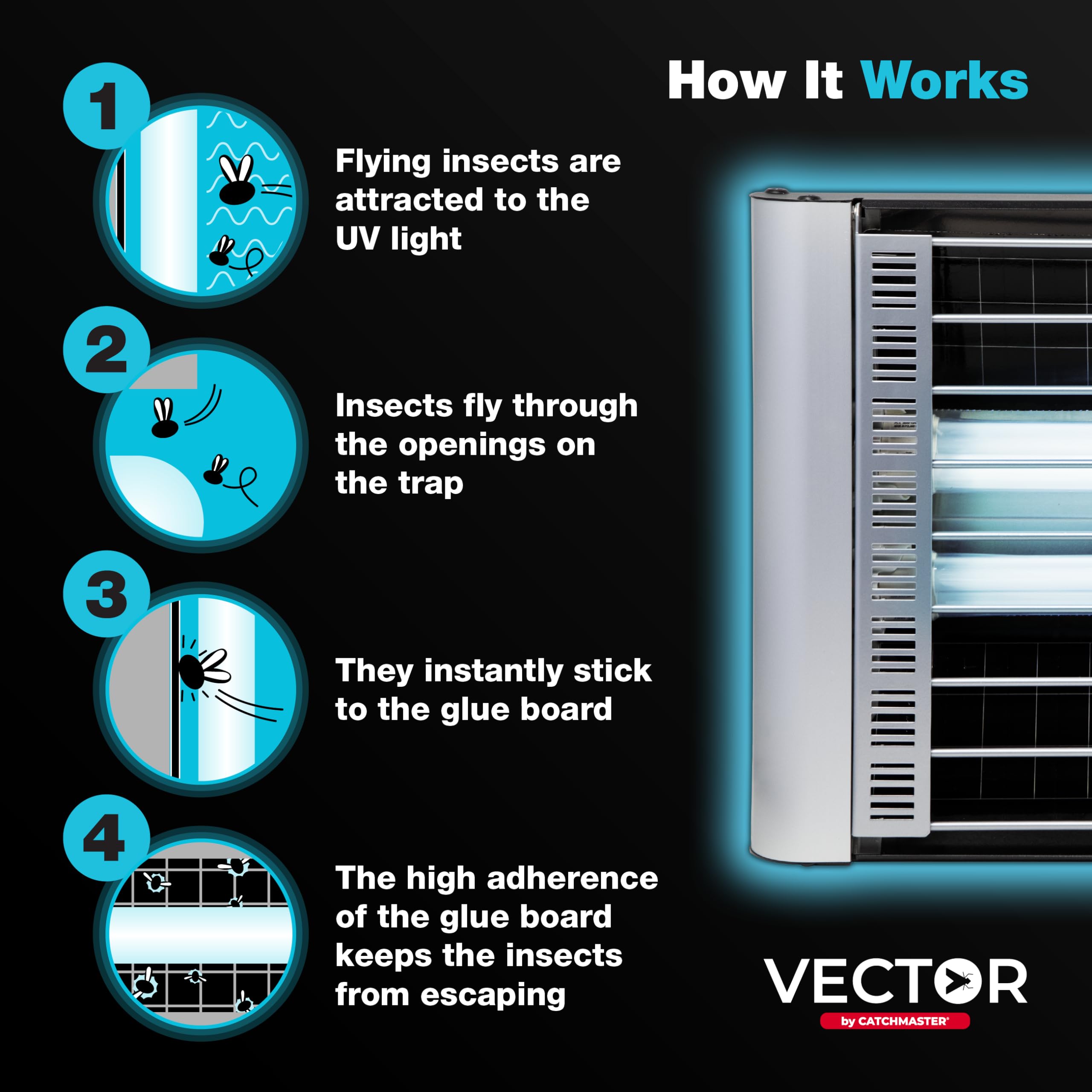 Catchmaster installed in commercial kitchen showing unobtrusive insect control benefit