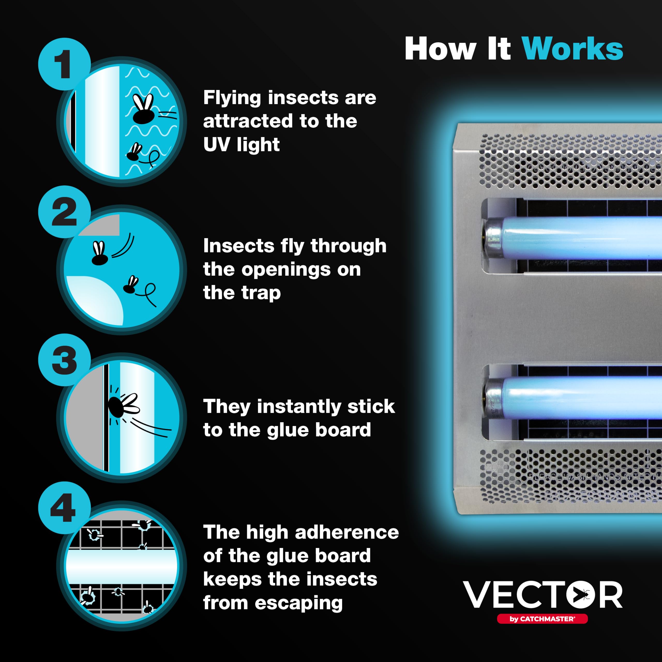 Catchmaster Vector 30 mounted in kitchen illustrating quiet, sanitary insect control