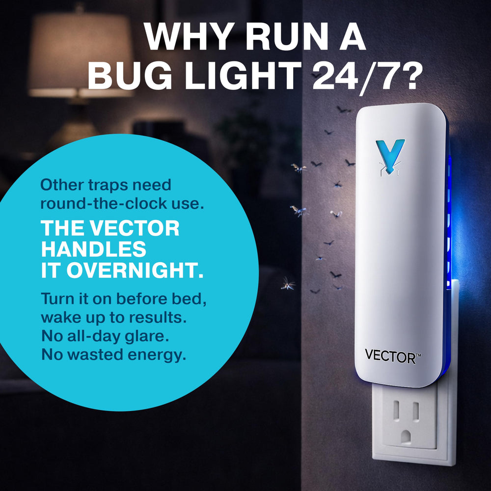 Catchmaster Vector 9 box open with twelve refill boards demonstrating long-lasting supply benefit