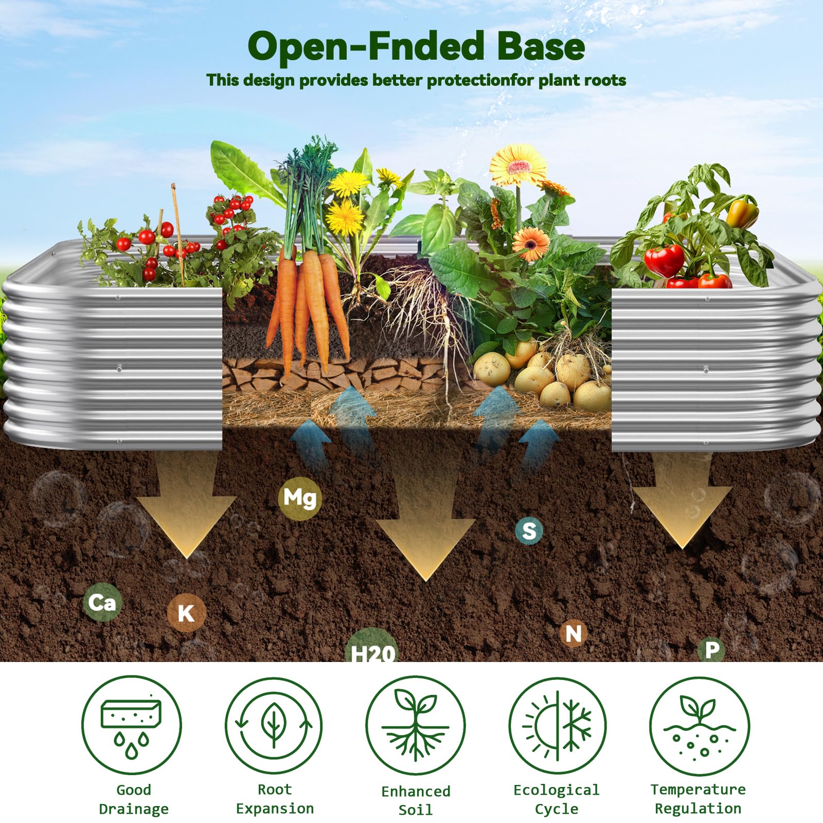 CATMANOR planted bed with vegetables demonstrating productive use and organized rows