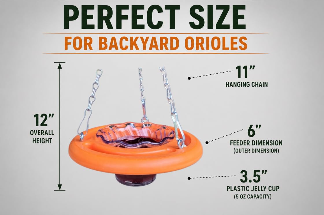 Cauff oriole feeder perch detail demonstrating bird-friendly grip and comfortable access