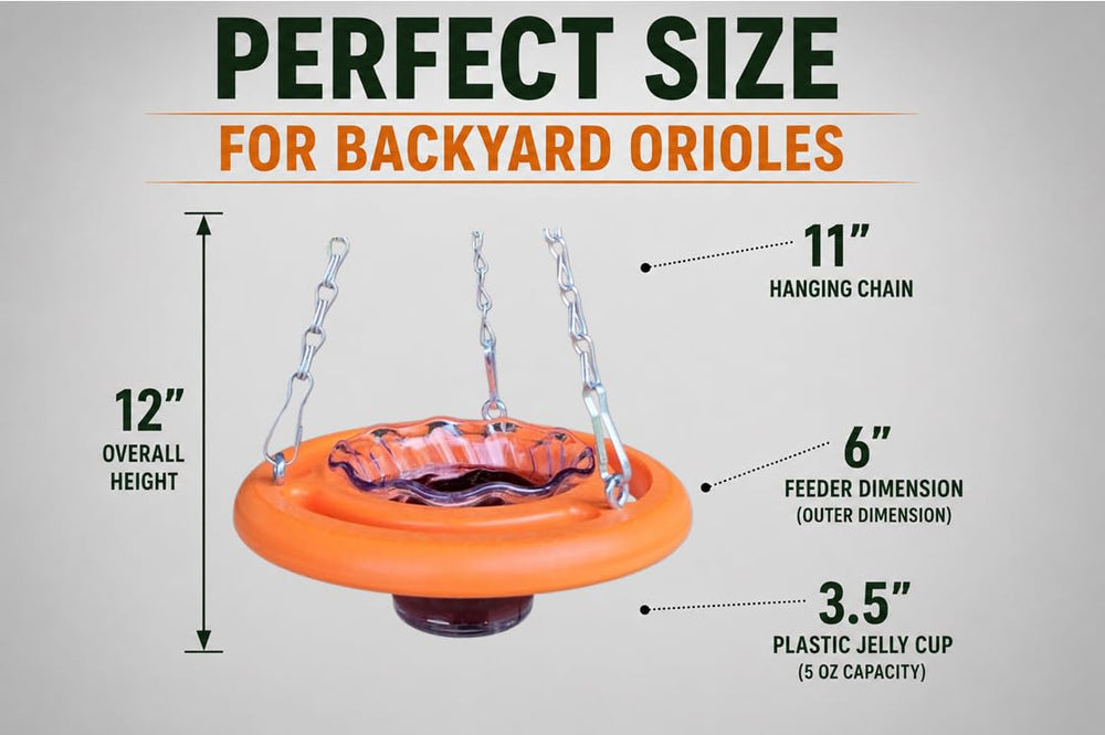 Cauff oriole feeder perch detail demonstrating bird-friendly grip and comfortable access