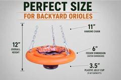 Cauff oriole feeder perch detail demonstrating bird-friendly grip and comfortable access