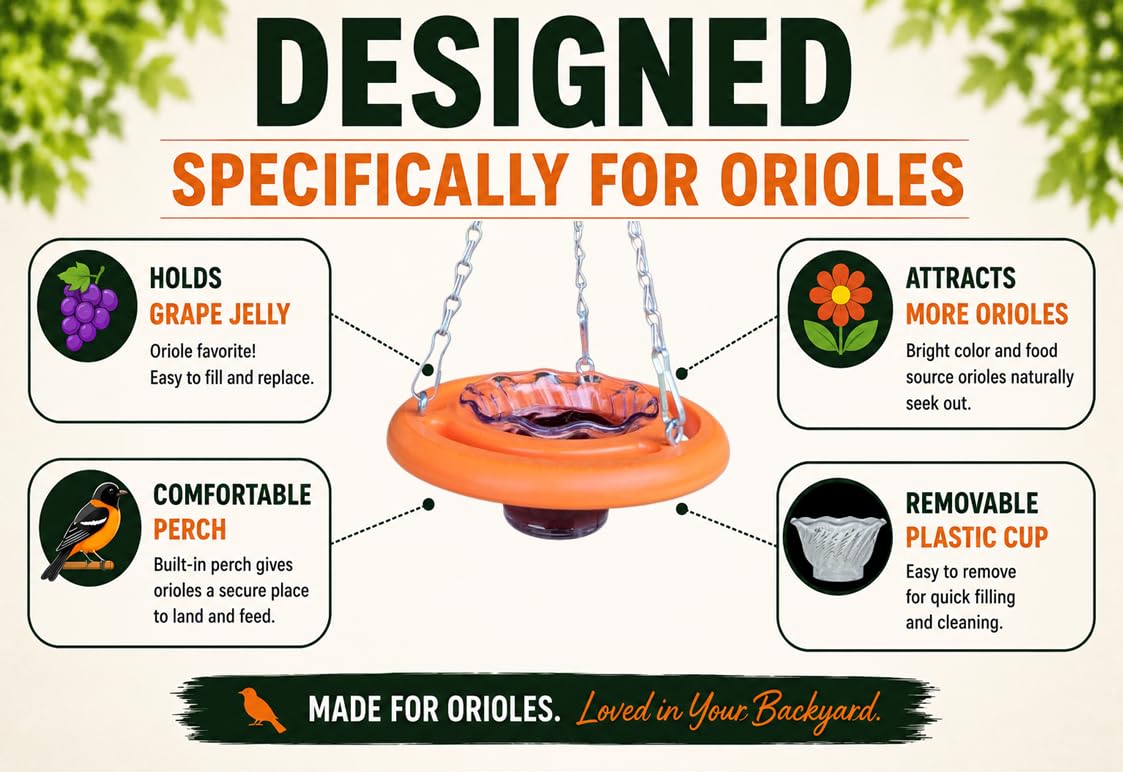 Cauff oriole feeder beside a ruler showing 12 by 6 inch scale, easy placement sizing