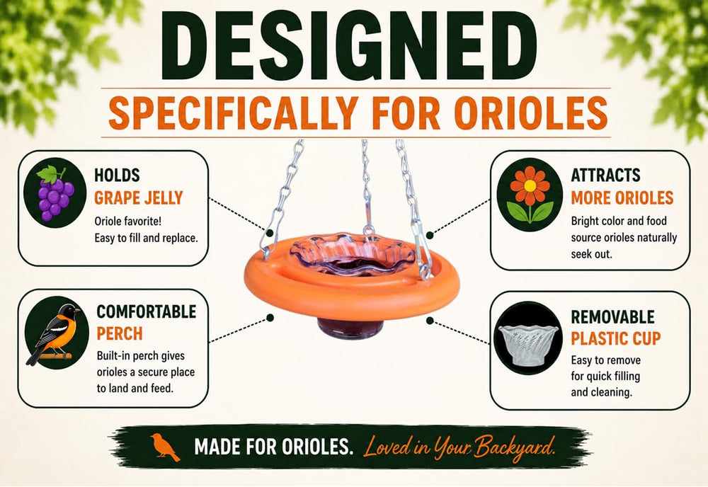 Cauff oriole feeder beside a ruler showing 12 by 6 inch scale, easy placement sizing