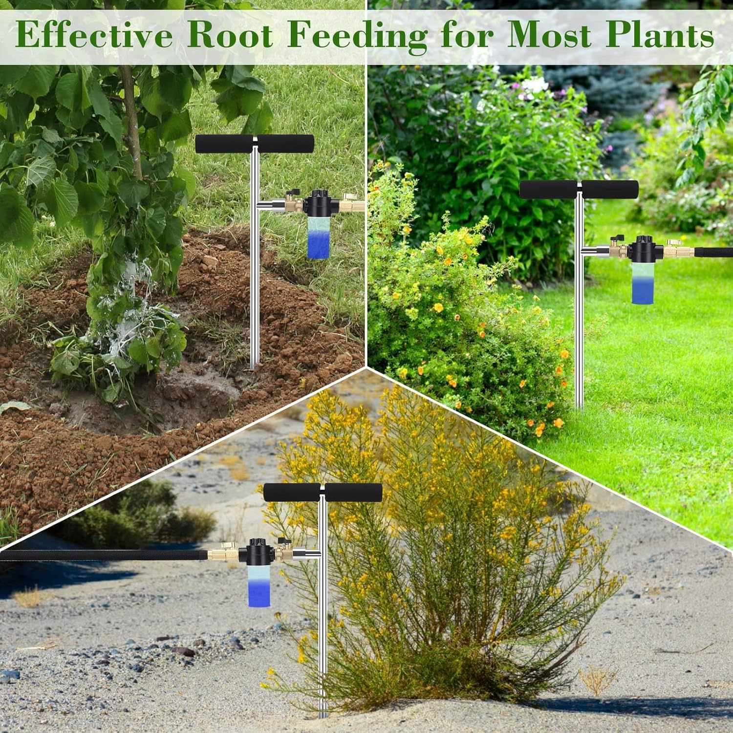 Caulimo spike in use reaching deep roots to reduce surface runoff