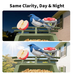 cbeyook camera lens close-up highlighting 3MP clarity and live view benefit
