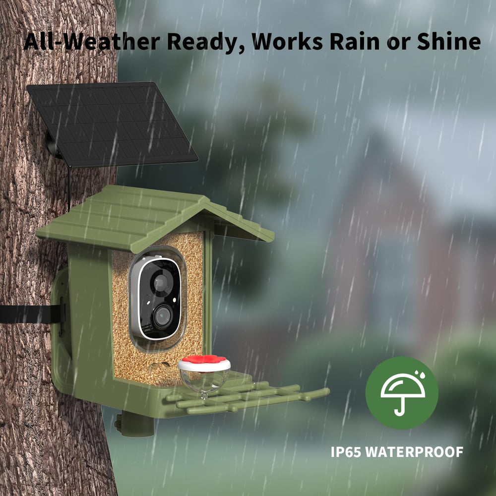 cbeyook feeder in use with bird perched illustrating motion alerts benefit