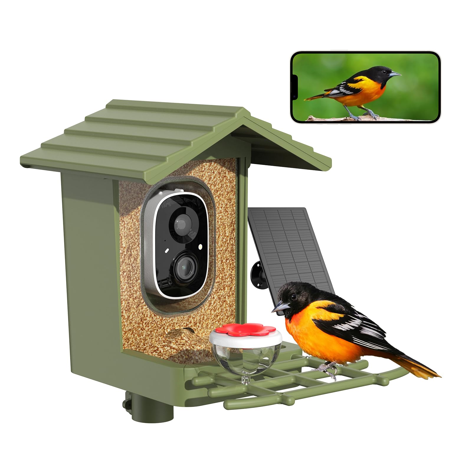 cbeyook front view showing feeder and camera for clear backyard monitoring