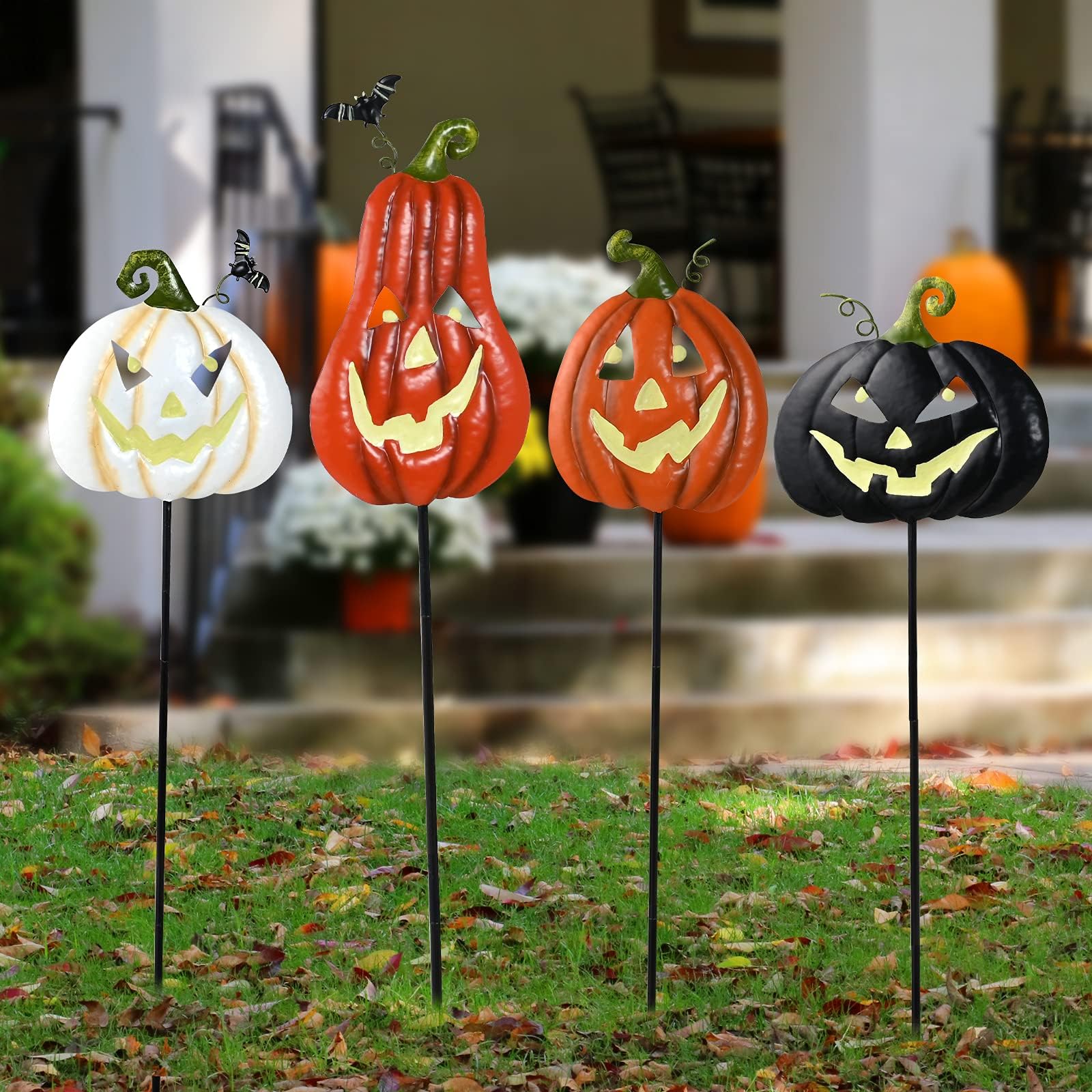 Cbumane evening shot of glowing pumpkins creating festive ambiance