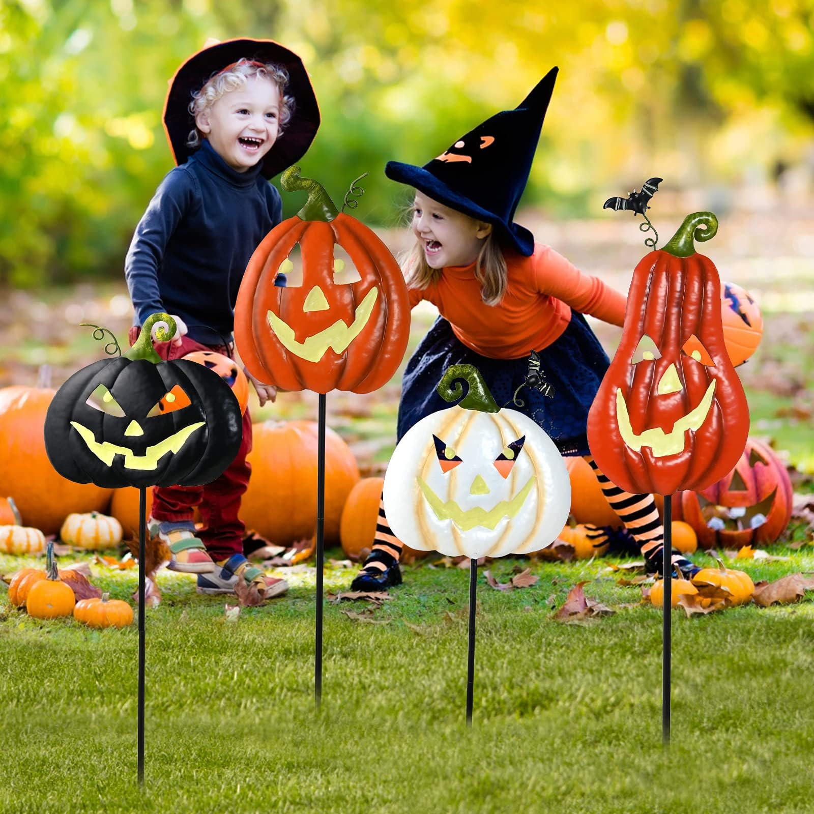 Cbumane varied colors arranged for layered garden interest