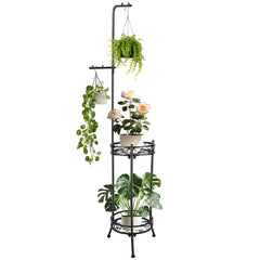 CCAENI front view plant stand showing vertical display and stability