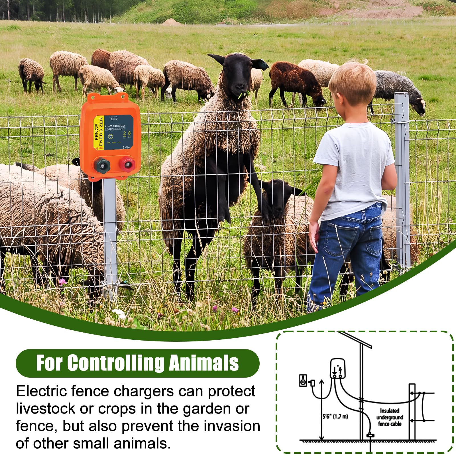 CCTP PE2 side label with specifications visible for quick product information and safe use
