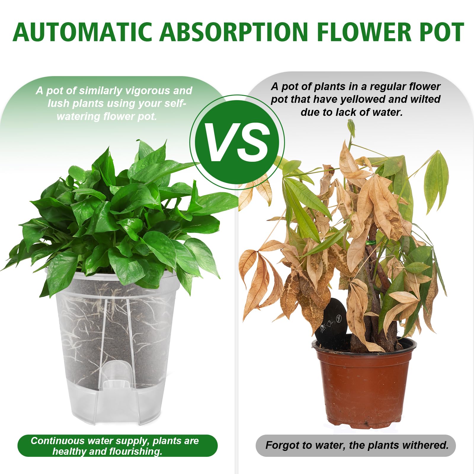 Cdd's Path air column base view illustrating airflow and root oxygenation benefit