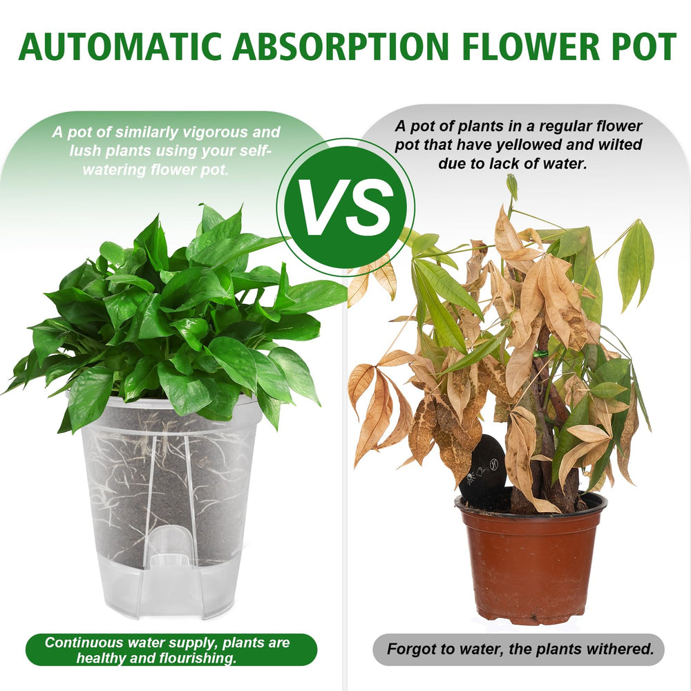 Cdd's Path air column base view illustrating airflow and root oxygenation benefit