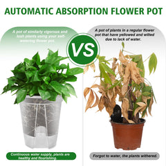 Cdd's Path air column base view illustrating airflow and root oxygenation benefit