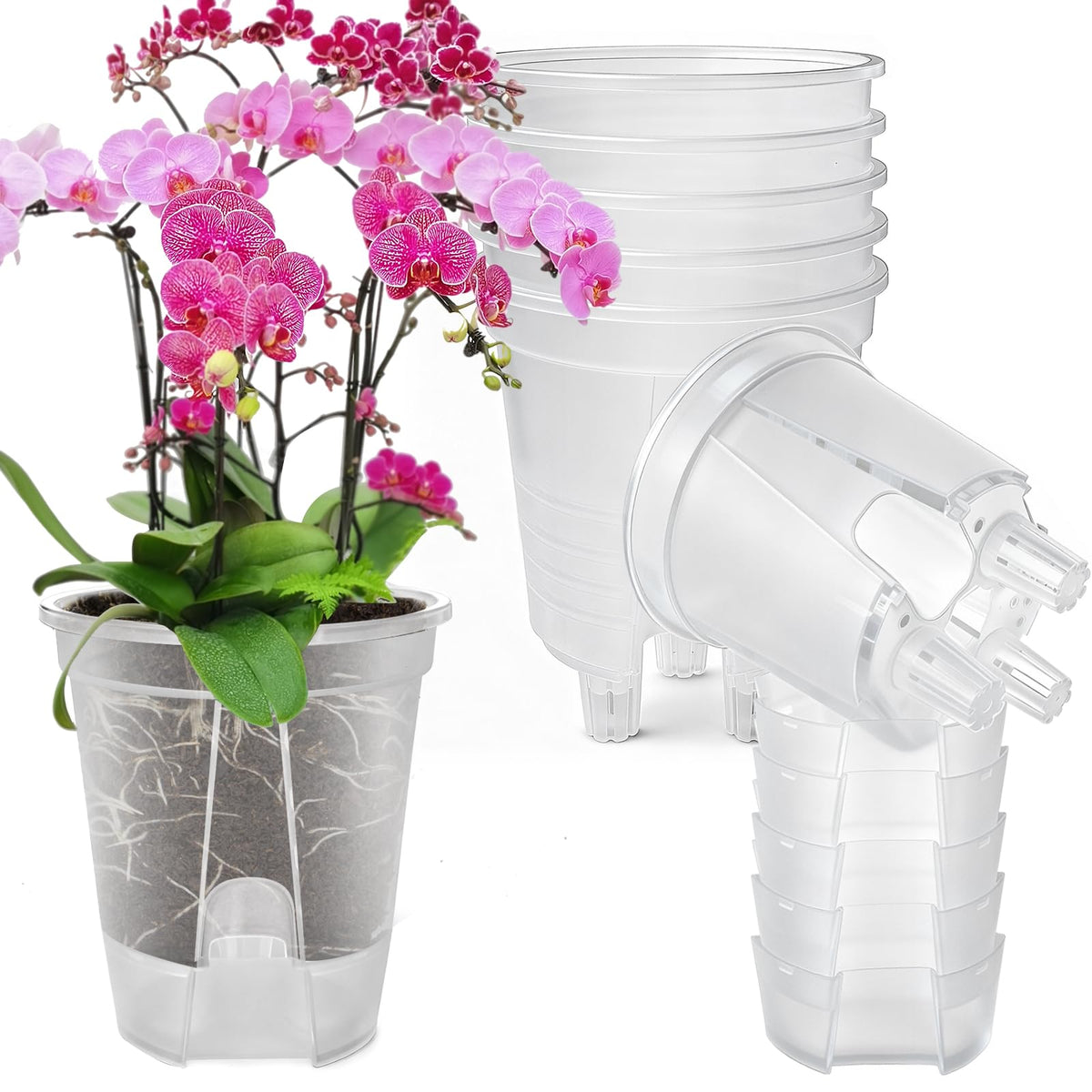 Cdd's Path clear front view showing pot shape and easy monitoring benefit