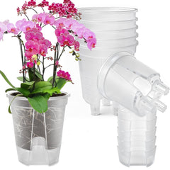Cdd's Path clear front view showing pot shape and easy monitoring benefit