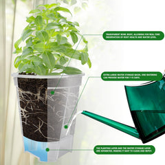 Cdd's Path root visibility closeup showing healthy roots and monitoring benefit
