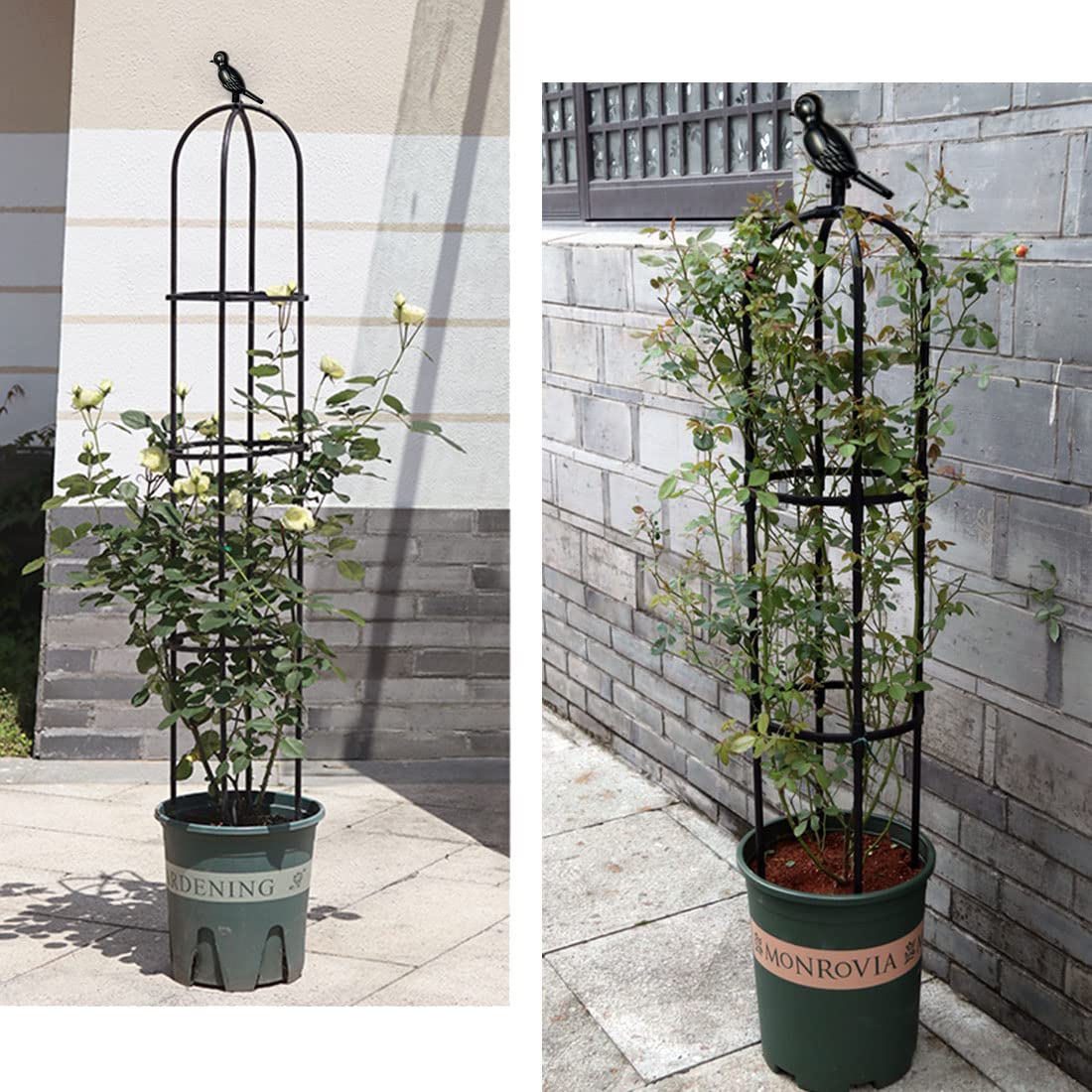 CEDOCSH trellis on patio with plants and lights showing decorative appeal