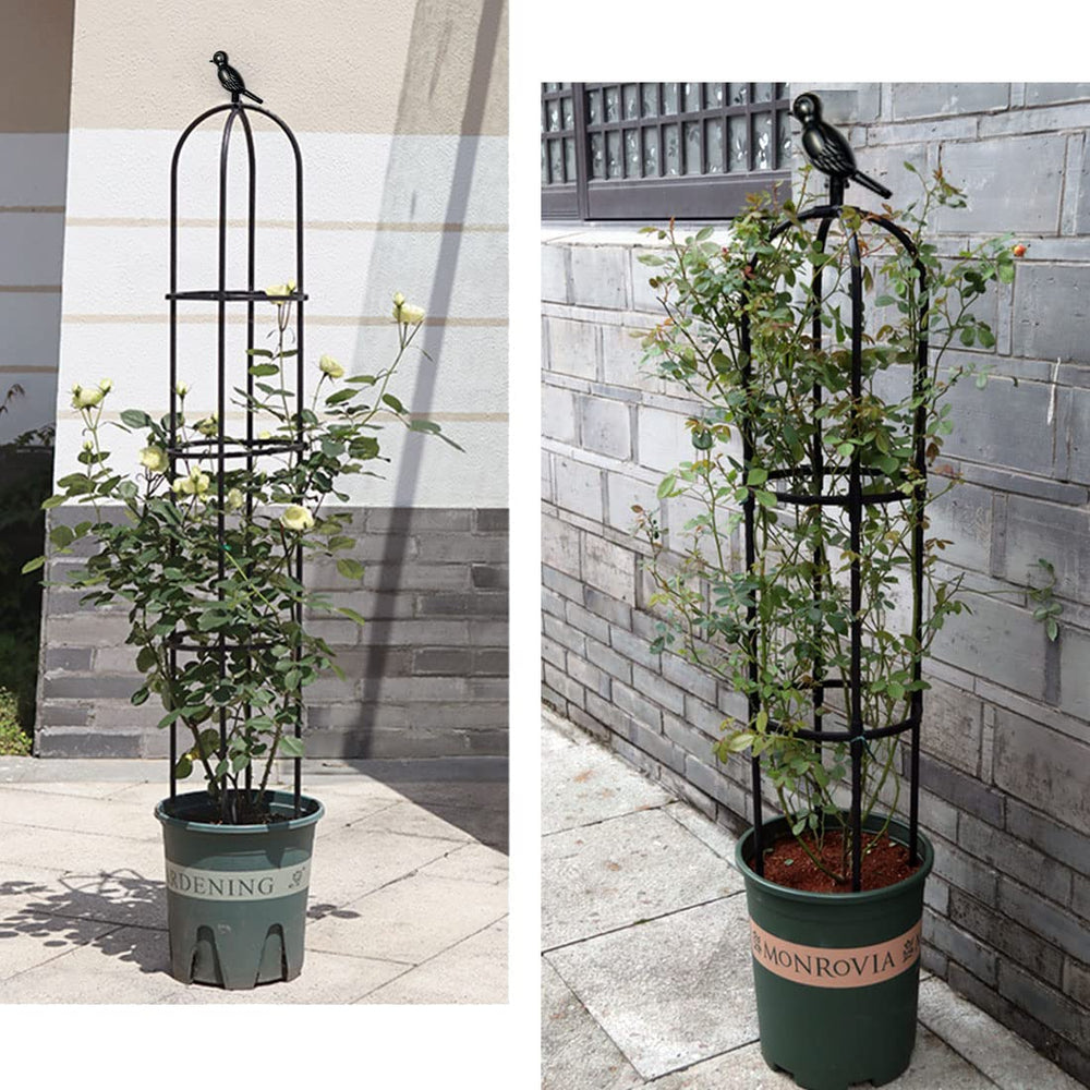 CEDOCSH trellis on patio with plants and lights showing decorative appeal