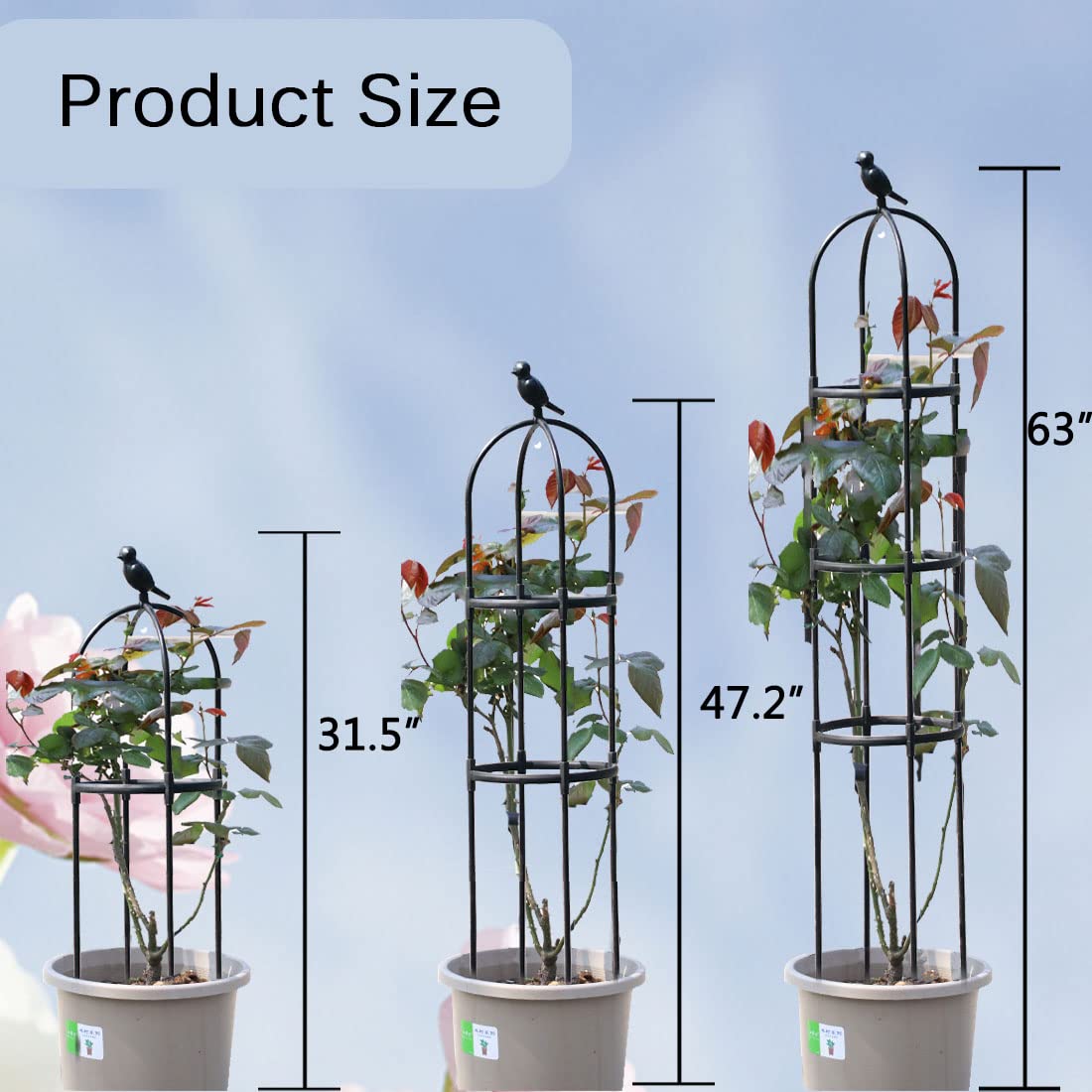 CEDOCSH trellis beside ruler for scale to show compact, adjustable size