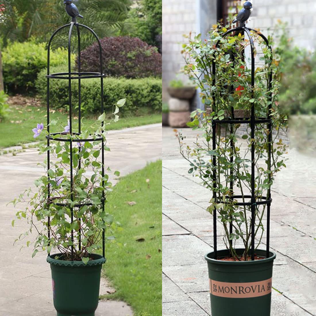 CEDOCSH trellis stakes driven into soil showing stable anchoring benefit