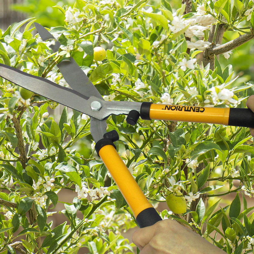 Centurion tools in hand for scale aiding size and leverage judgment