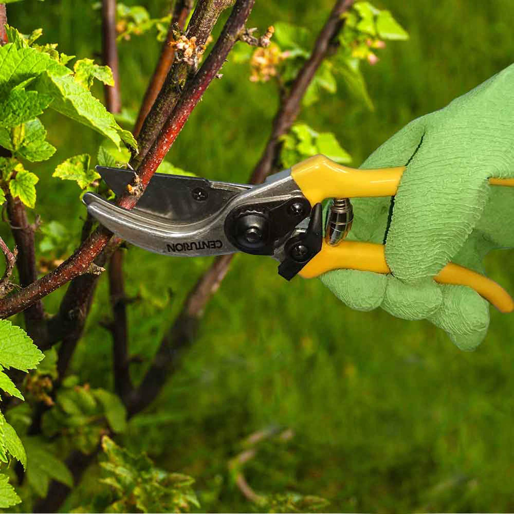 Centurion pruning kit placed in garden showing versatile outdoor use