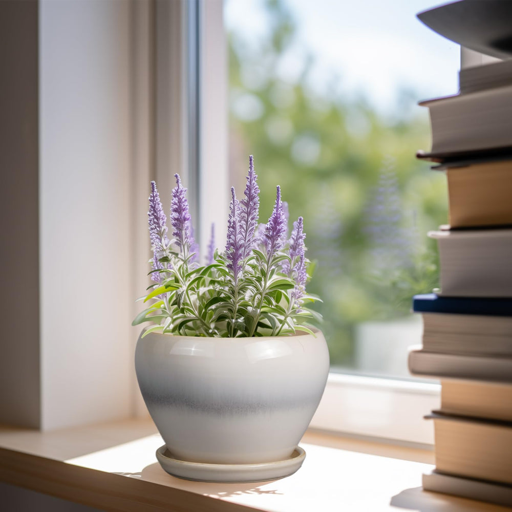 Ceramicfor close-up of white glaze texture highlighting durable smooth finish