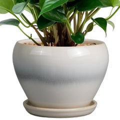Ceramicfor front view of pot and saucer showing neat modern style and stability