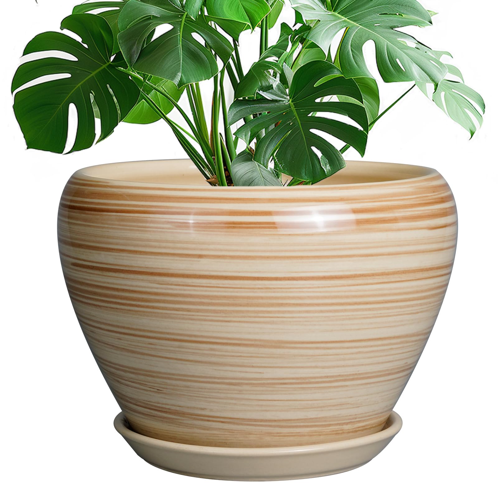 Ceramicfor front view yellow planter showing modern round shape and bright color benefit